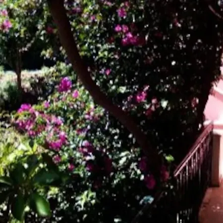 Despina'S Home Magoulades Exterior photo