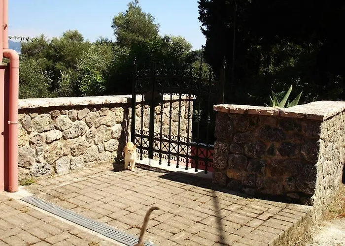 Despina\'S Home