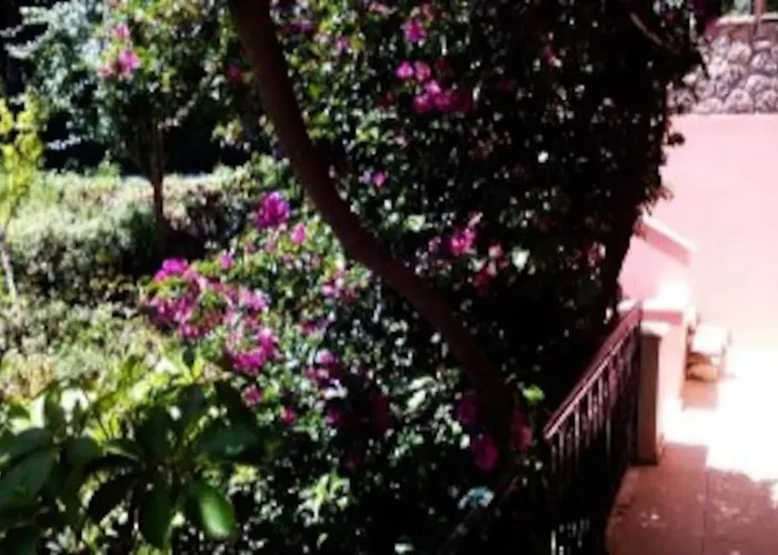 Despina\'S Home