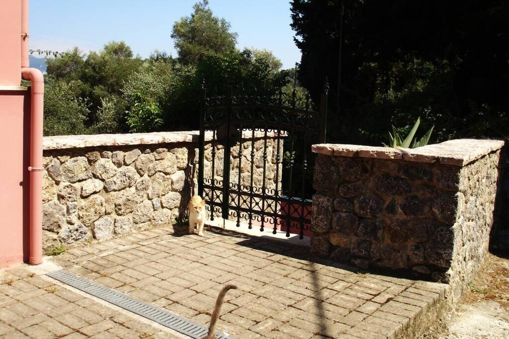 Apartament Despina's *