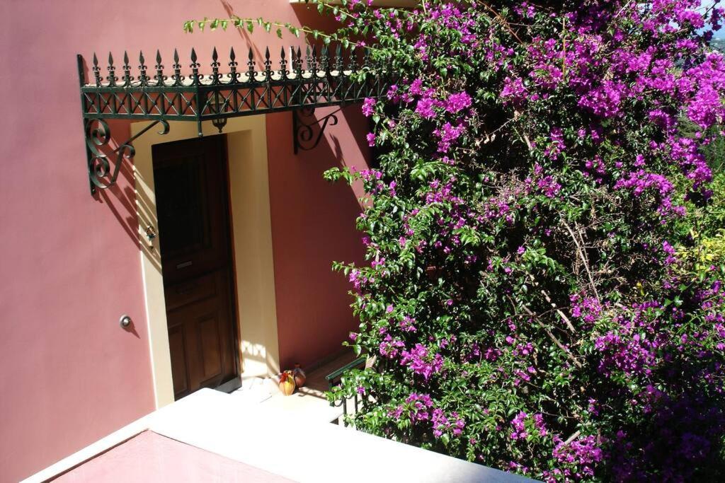 Apartment Despina's