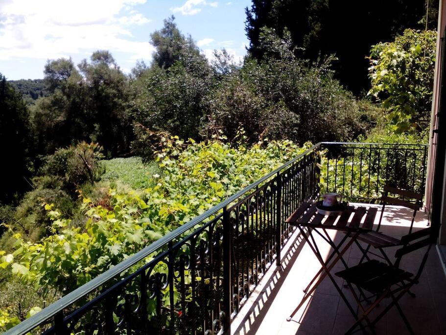 Apartament Despina's Magouládes