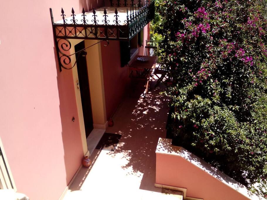 Despina's Apartament *